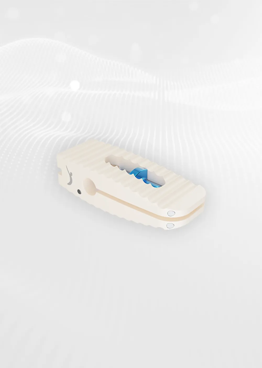 PROCAYMAN, caja PLIF expandible de PEEK, modelo tridimensional