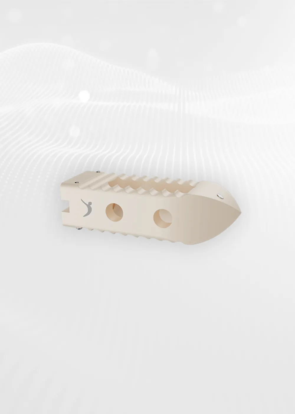 PROCORB, caja PLIF de PEEK, modelo tridimensional