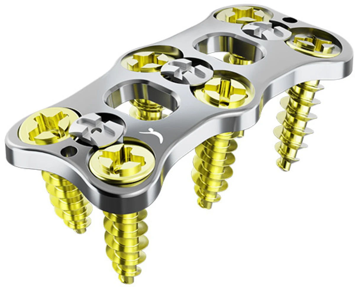 Placa de dos niveles con sus tornillos