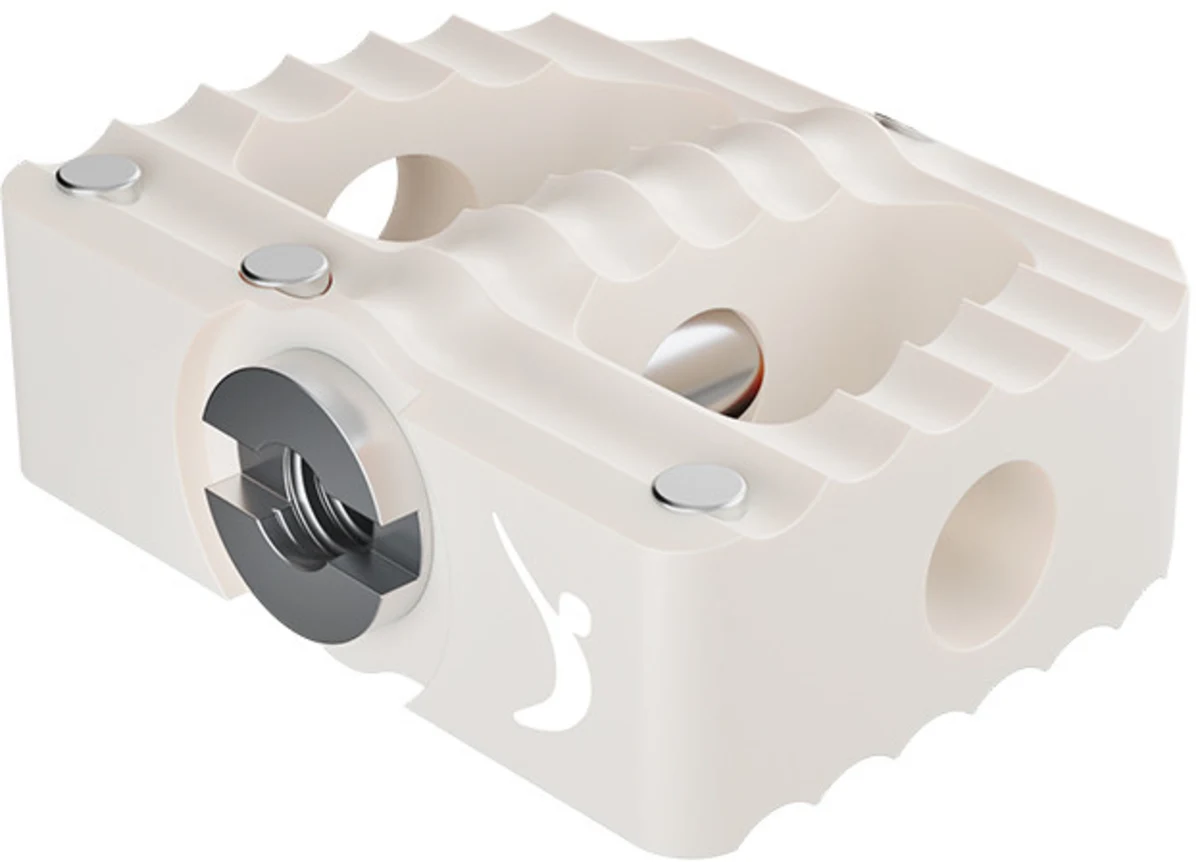 PROYSTER, caja cervical de PEEK